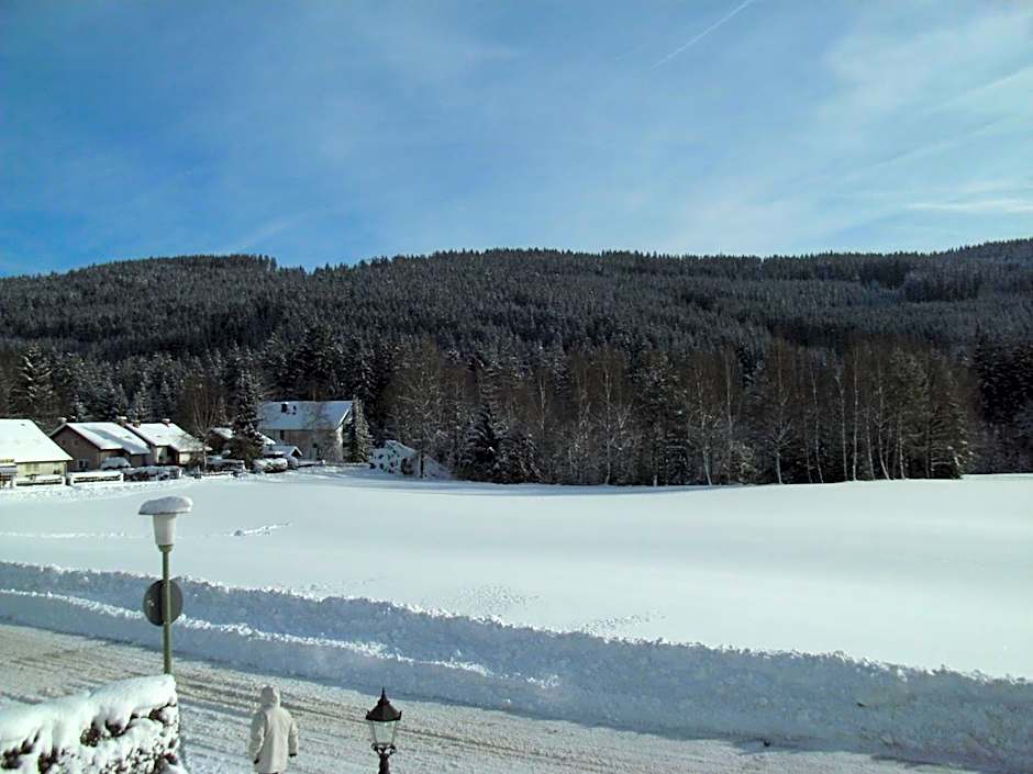 Hotel Rheingold Garni