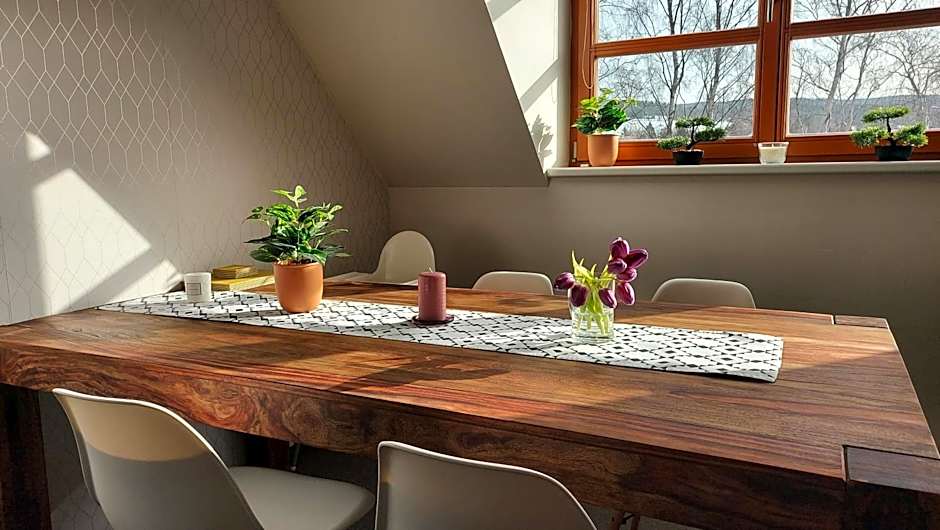 Wellness apartmány Říčky v Orlických horách
