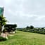 Cana Vineyard Guesthouse