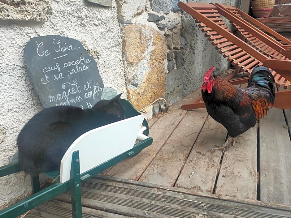 Chambres d'hôtes Les Chatougoulis