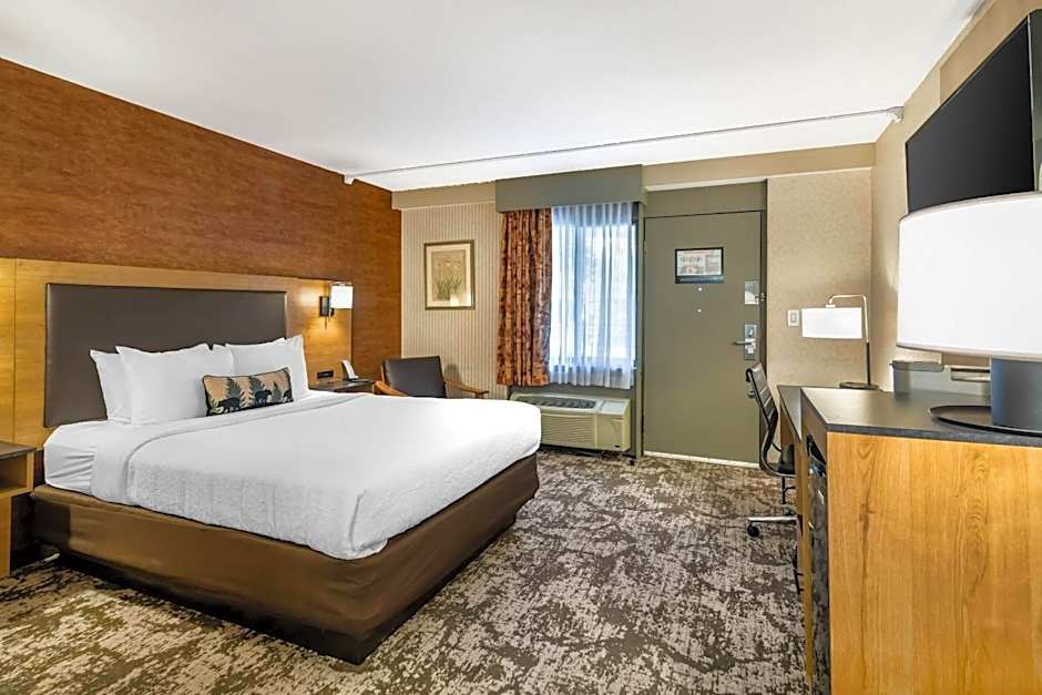 Maine Evergreen Hotel, an Ascend Collection Hotel