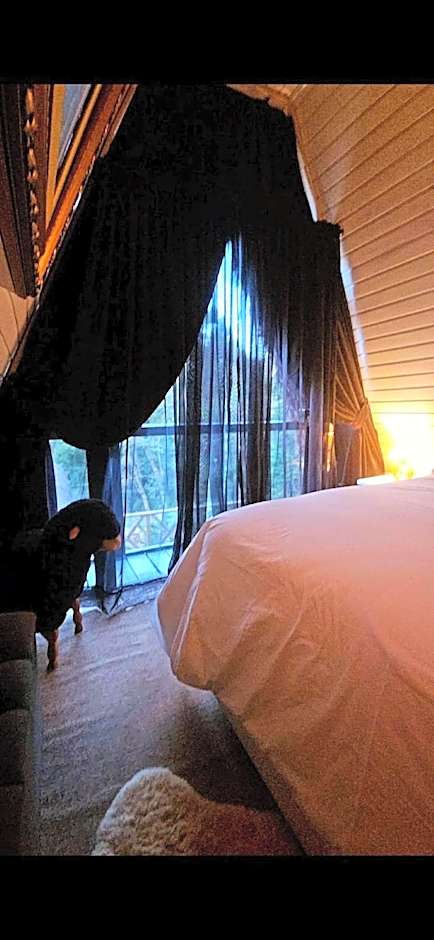 Chalét com jacuzzi sauna lareira e telao cinema