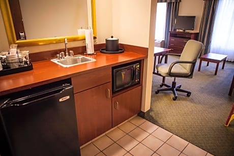 1 King Bed Studio Suite W/Sofabed Nonsmoking