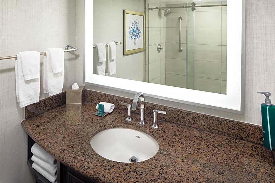 Hilton Arlington
