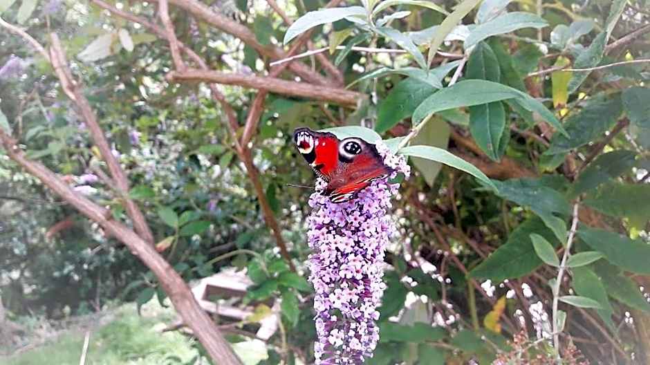 Greenways Valley Holiday Park