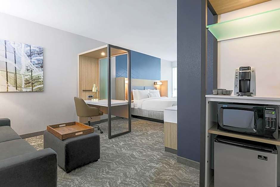 SpringHill Suites by Marriott San Jose Fremont
