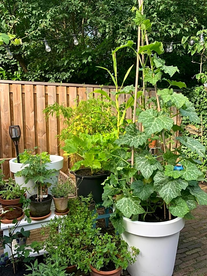 Bed & Breakfast Jo Amsterdam