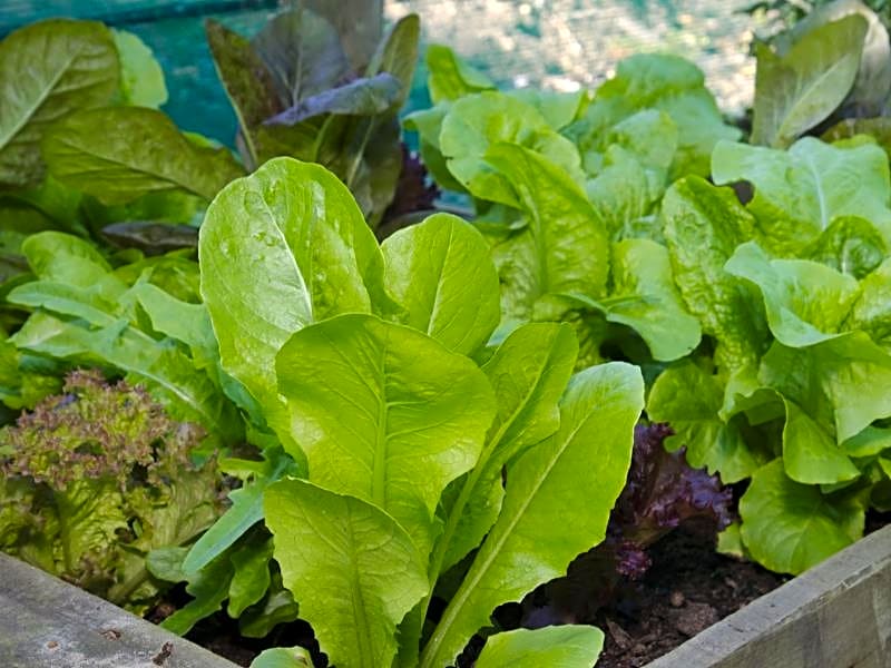 Blackwaters River Lodge