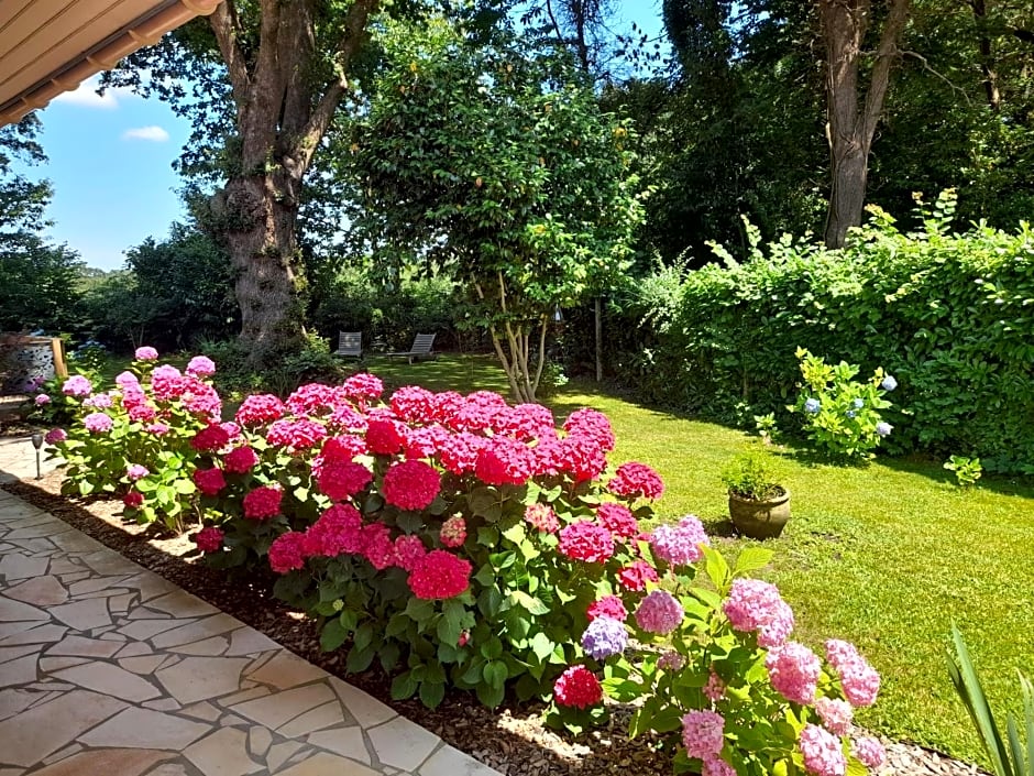 La Clairière du Seignanx