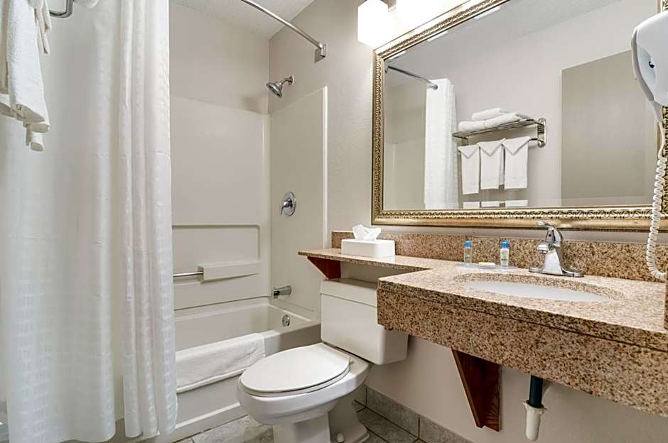 American Inn & Suites Metro Airport
