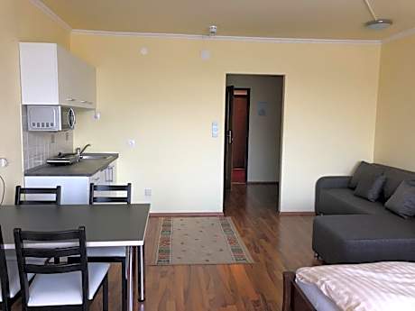 Studio with Mountain View