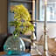 Landhotel Flora & Fauna