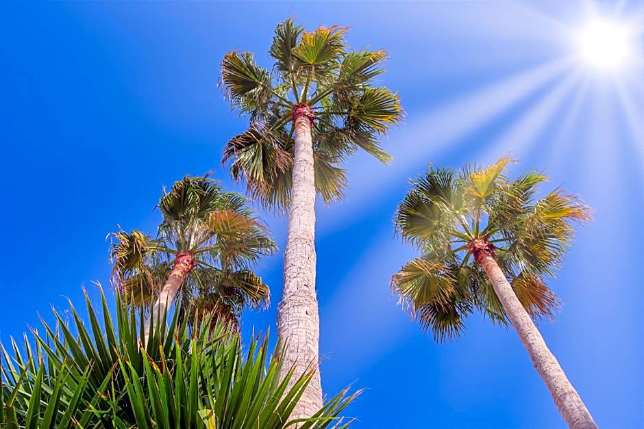 Nana Angela Apartments