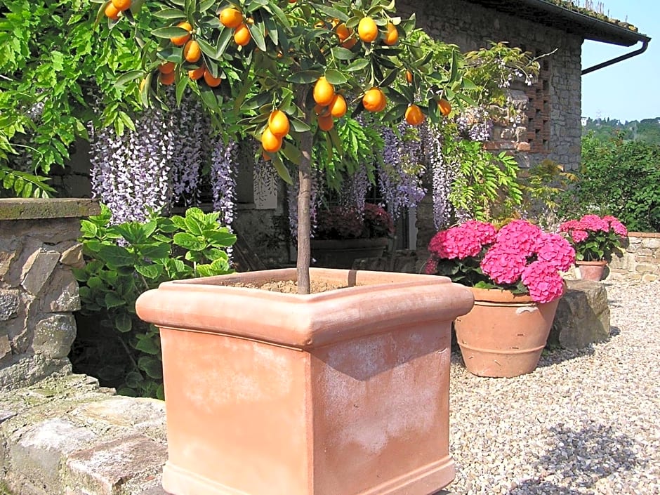 Il Poggiolo Delle Rose Bed&Breakfast