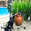 Ten North Tamarindo Beach Hotel