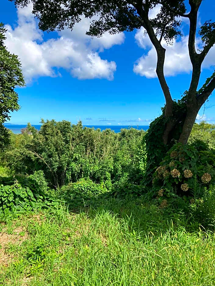 ocean villa mint 満天の星空とオーシャンビューで心満たす一棟まるごと貸切別荘 南房総千倉