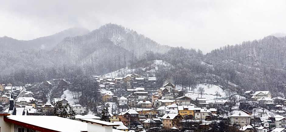 Hotel Olanesti & Spa Medical