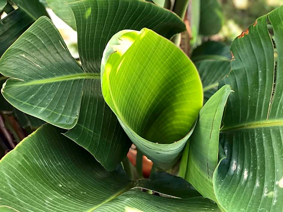 Creta Blue Boutique Hotel