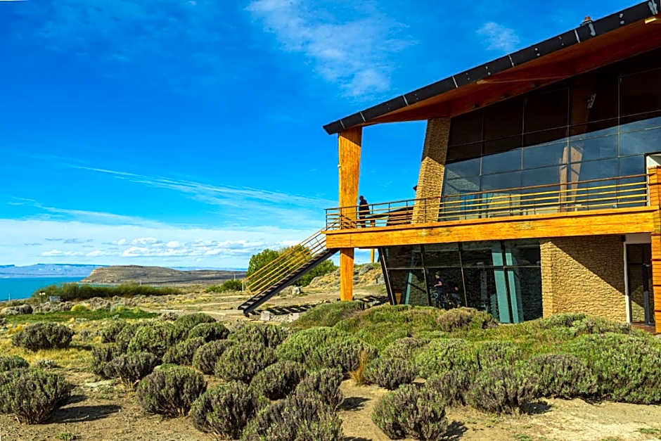 Design Suites Calafate