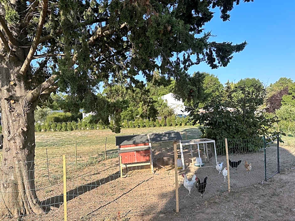 Le Moulin de Sonnailles