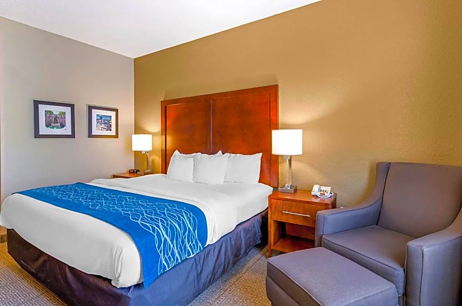 Comfort Inn & Suites Lynchburg Airport - University Area
