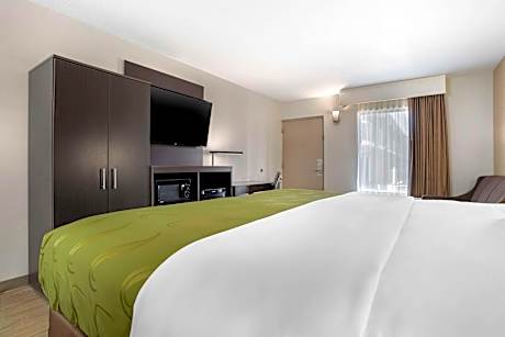 1 King Bed, Suite, Nonsmoking