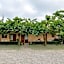 Villa Rosy
