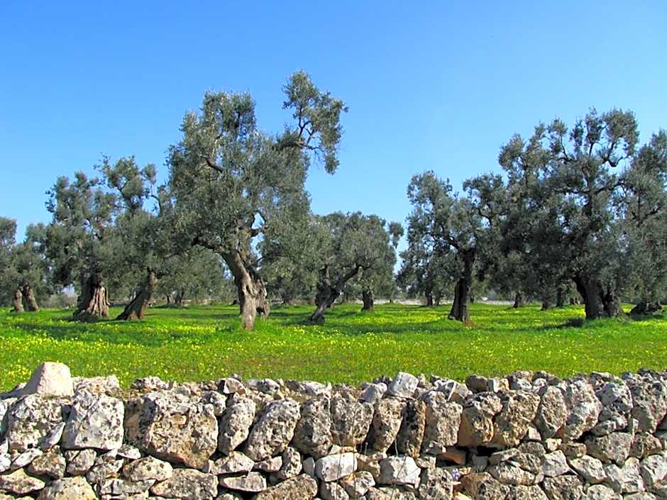 Trulli Holiday Albergo Diffuso