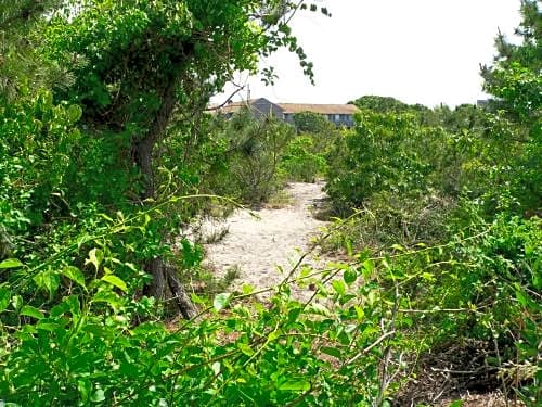 Sunset Beach Montauk