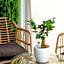 Amare Suite & Apartments