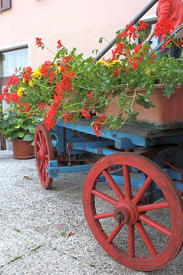 Stella D'Oro - Hotel & Apartments