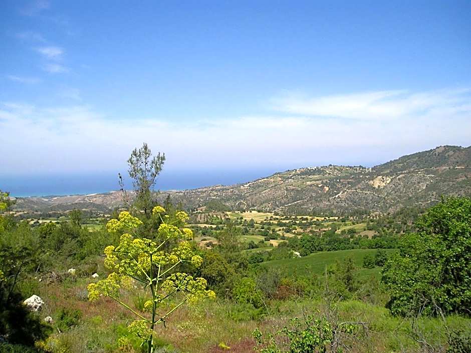 Demetriou Paradisos Hills Hotel