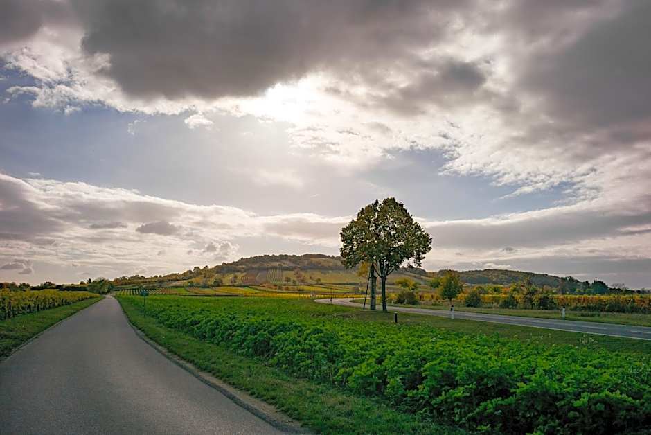 Tschardakenhof Appartements