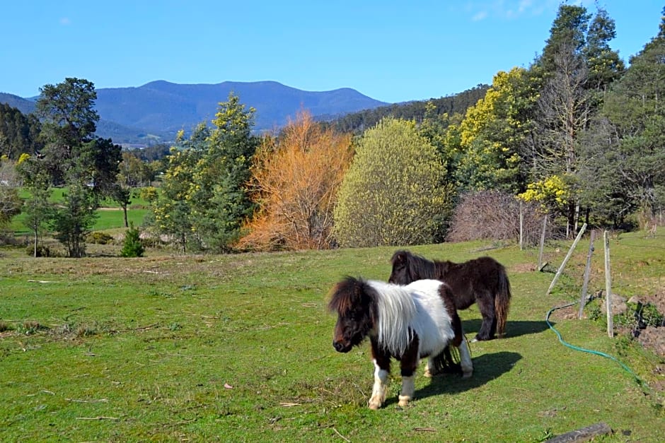 Whispering Spirit Holiday Cottages & Mini Ponies