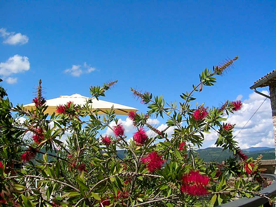 B&B La Terrazza Del Subasio
