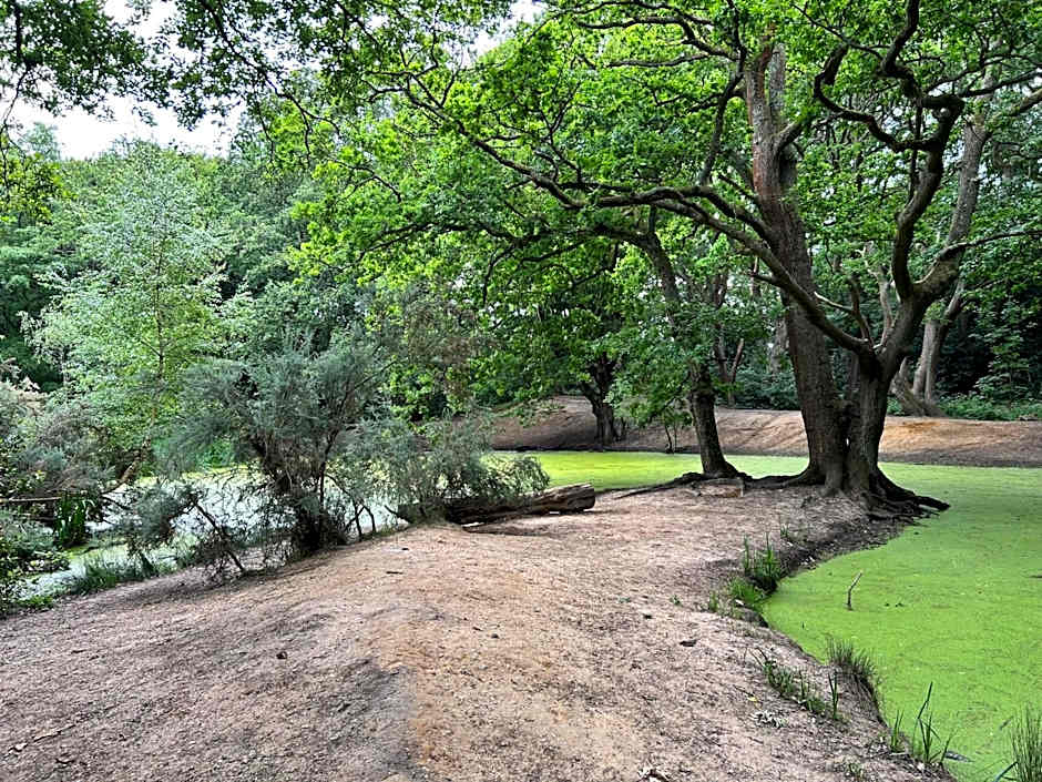 La Gaffe - Bed and Breakfast