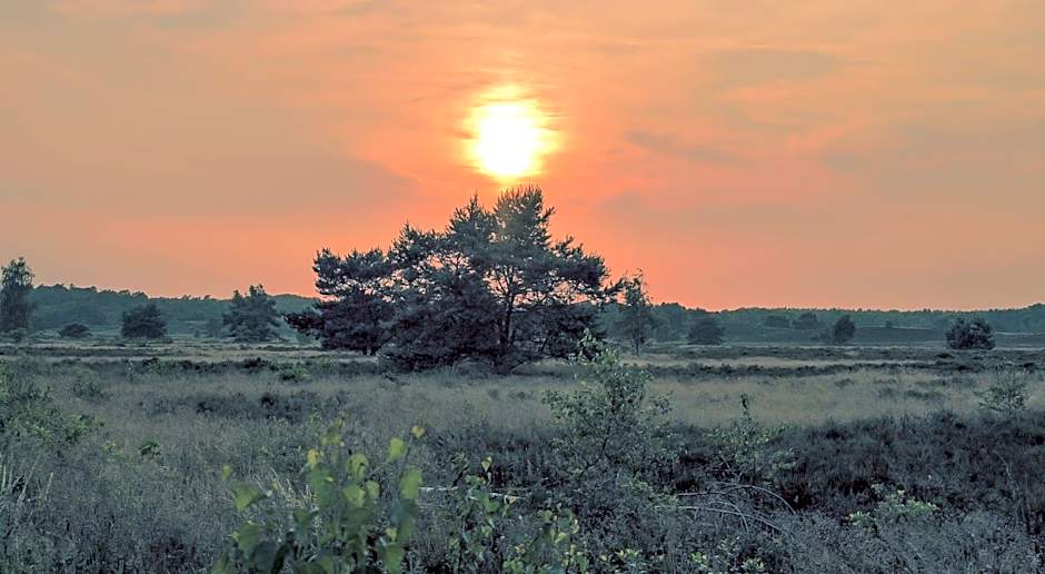 Luxe Tiny House op de Veluwe