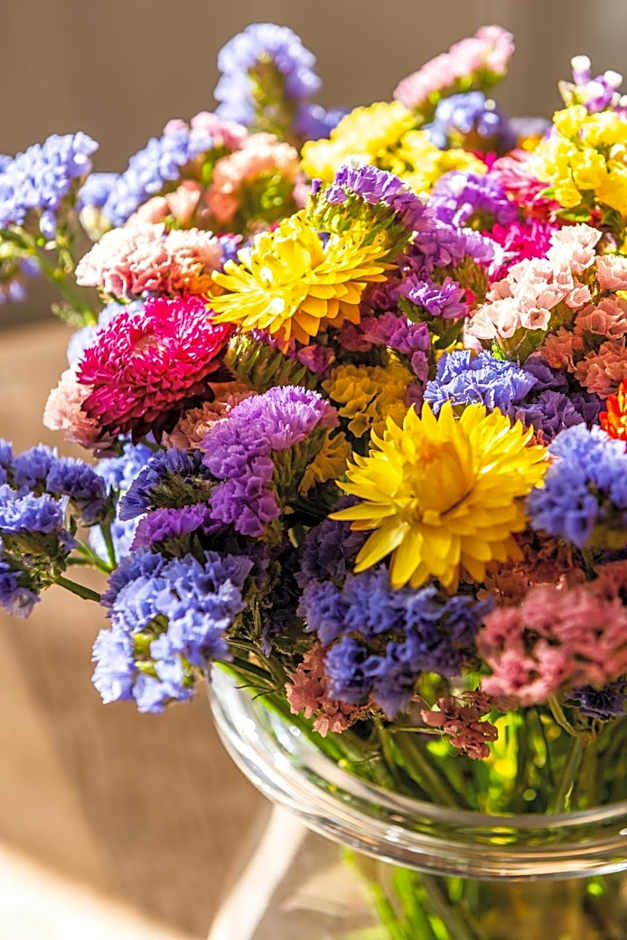 Ecole Olargues - Chambres & restaurant - Teritoria