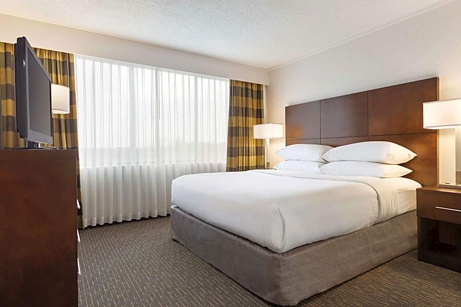 Photo 1 of 6 of 1 King Bed Suite, Hearing/Mobility Accessible, Roll in Shower