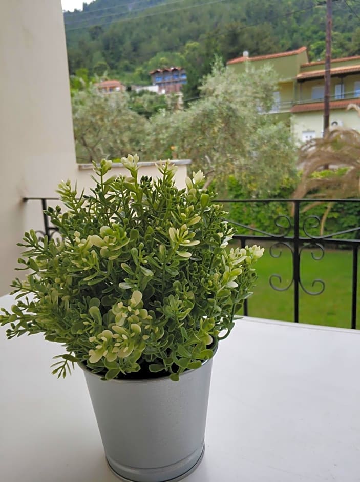 Studios Estrella del mar