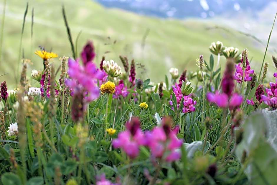 Hotel Miravidi a Cervinia