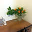 Hotel Triana e Tyche