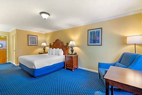 King Room - Pet Friendly/Non-Smoking