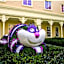 Tokyo Disney Celebration Hotel(R)