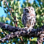 Quinta dos Poetas Nature Hotel & Apartments