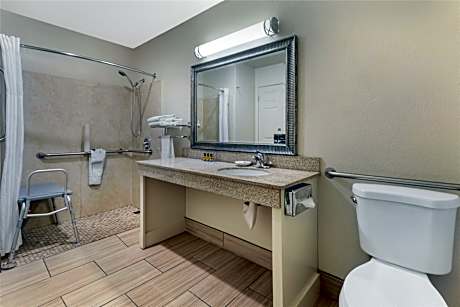 Accessible - 1 Queen, Mobility Accessible, Roll In Shower, Non-Smoking, Full Breakfast