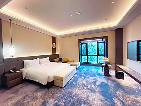 1 King Premium Accessible