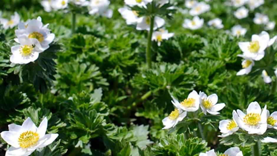 Kyukamura Shonai-Haguro