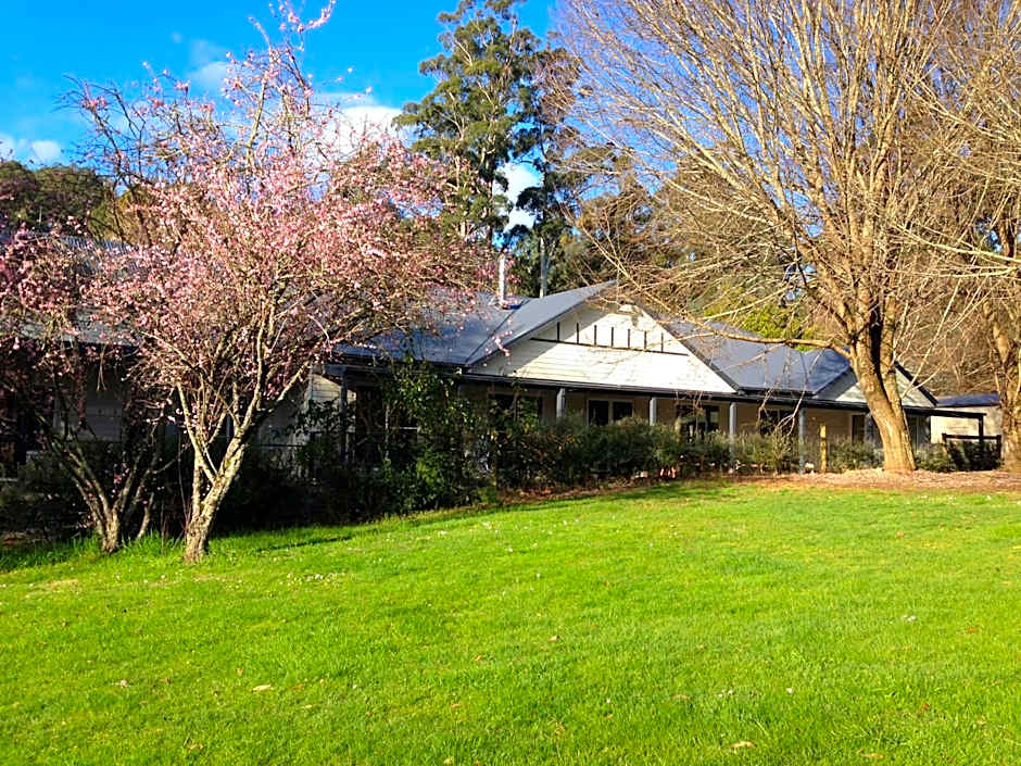 Goldberryaccommodation