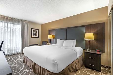 Standard King Room - Top Floor